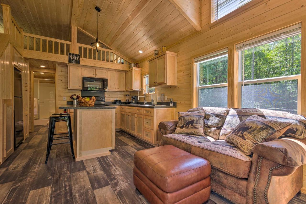 Quaint Mtn Cabin Tiny Living Near Big Adventure Brevard Εξωτερικό φωτογραφία